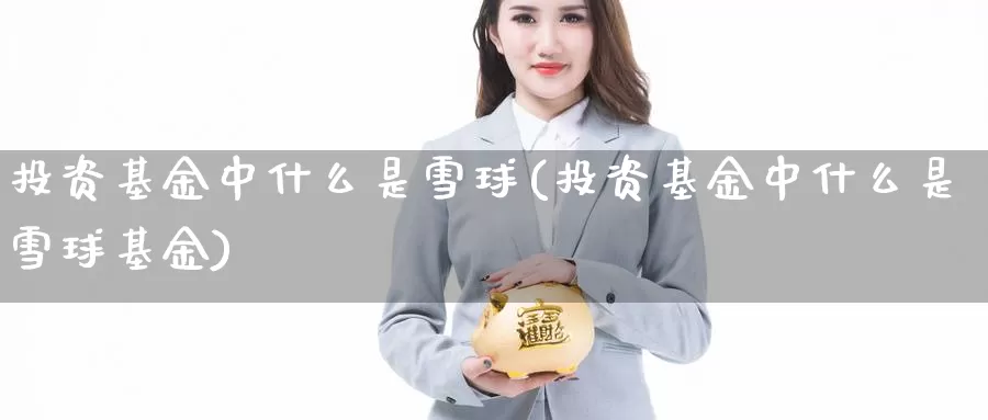 投资基金中什么是雪球(投资基金中什么是雪球基金)_https://www.zzcnk.com_基金_第1张