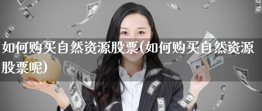 如何购买自然资源股票(如何购买自然资源股票呢)_https://www.zzcnk.com_股票_第1张