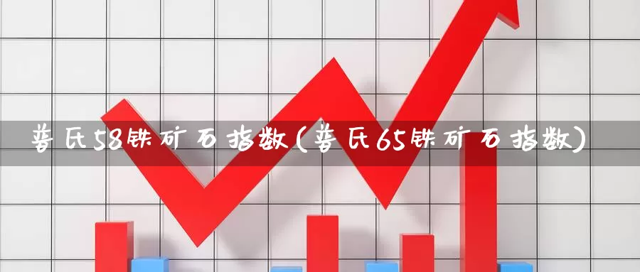 普氏58铁矿石指数(普氏65铁矿石指数)_https://www.zzcnk.com_内盘期货_第1张
