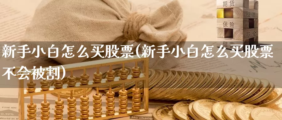 新手小白怎么买股票(新手小白怎么买股票不会被割)_https://www.zzcnk.com_股票_第1张