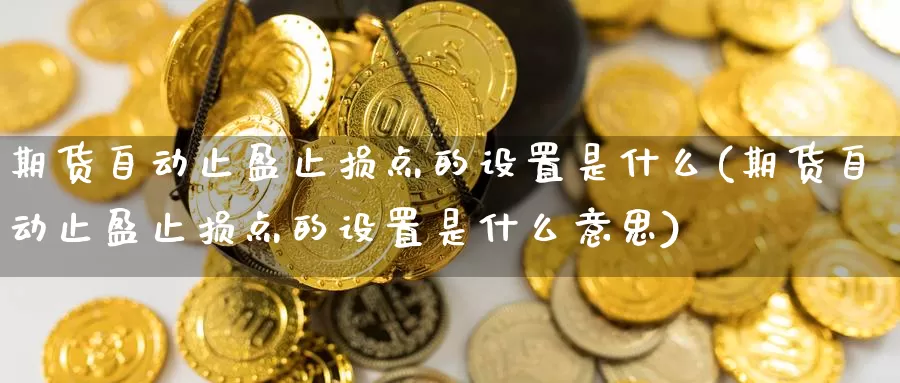 期货自动止盈止损点的设置是什么(期货自动止盈止损点的设置是什么意思)_https://www.zzcnk.com_纳指期货_第1张