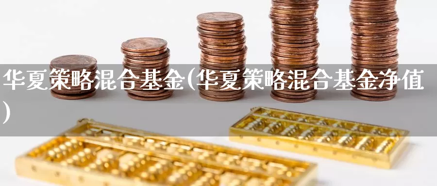 华夏策略混合基金(华夏策略混合基金净值)_https://www.zzcnk.com_理财_第1张