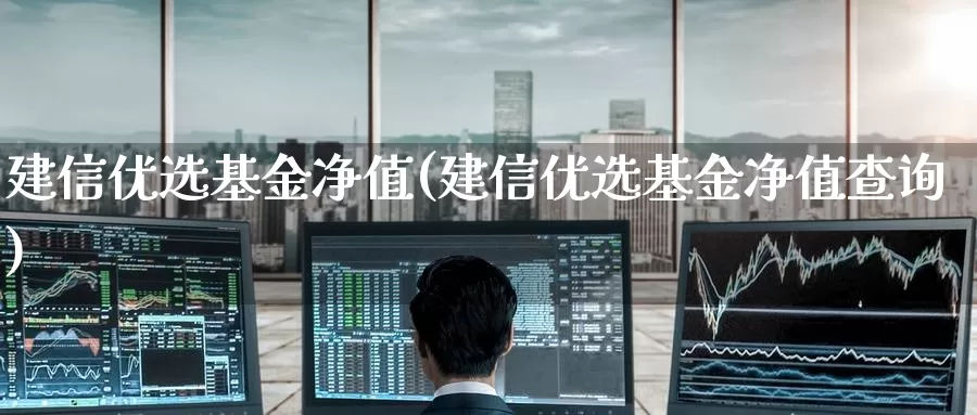 建信优选基金净值(建信优选基金净值查询)_https://www.zzcnk.com_股票_第1张