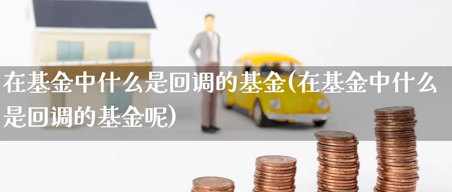 在基金中什么是回调的基金(在基金中什么是回调的基金呢)_https://www.zzcnk.com_基金_第1张