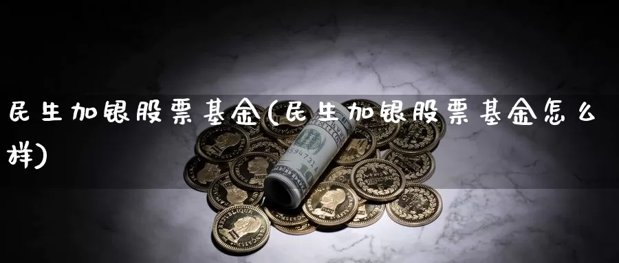民生加银股票基金(民生加银股票基金怎么样)_https://www.zzcnk.com_财经_第1张
