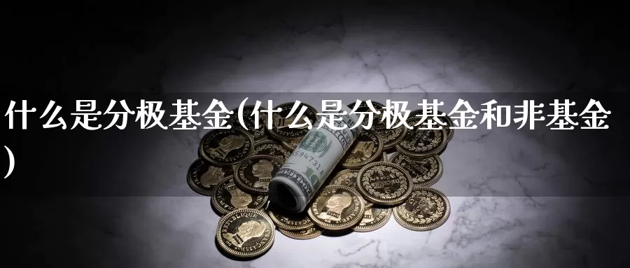什么是分极基金(什么是分极基金和非基金)_https://www.zzcnk.com_基金_第1张