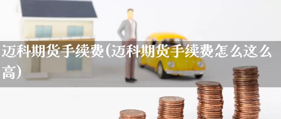迈科期货手续费(迈科期货手续费怎么这么高)_https://www.zzcnk.com_恒生指数_第1张