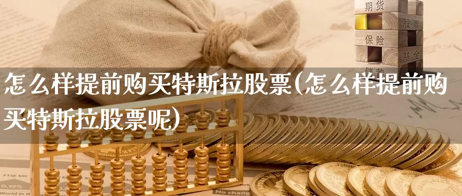 怎么样提前购买特斯拉股票(怎么样提前购买特斯拉股票呢)_https://www.zzcnk.com_股票_第1张