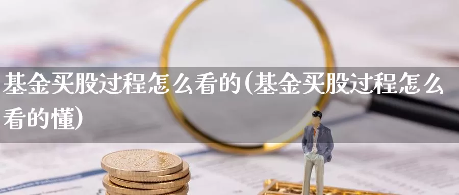 基金买股过程怎么看的(基金买股过程怎么看的懂)_https://www.zzcnk.com_基金_第1张