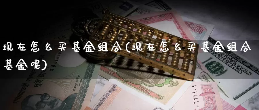 现在怎么买基金组合(现在怎么买基金组合基金呢)_https://www.zzcnk.com_基金_第1张