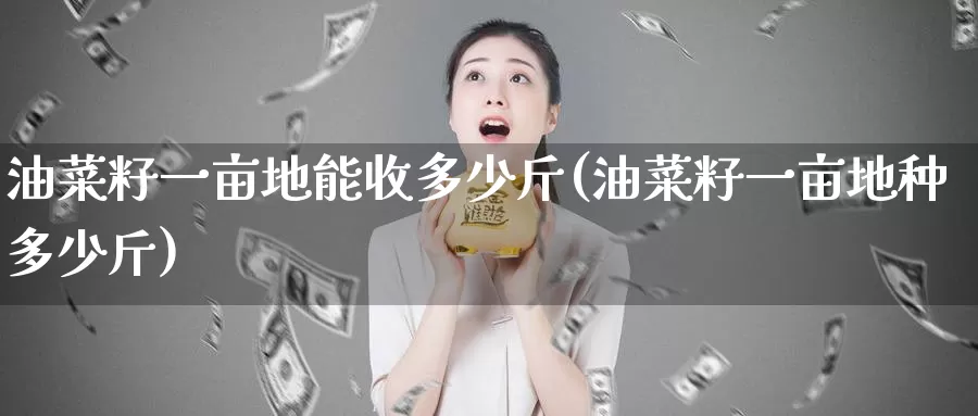 油菜籽一亩地能收多少斤(油菜籽一亩地种多少斤)_https://www.zzcnk.com_股指期货_第1张