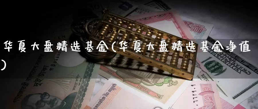 华夏大盘精选基金(华夏大盘精选基金净值)_https://www.zzcnk.com_理财_第1张