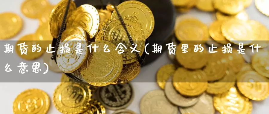 期货的止损是什么含义(期货里的止损是什么意思)_https://www.zzcnk.com_期货_第1张