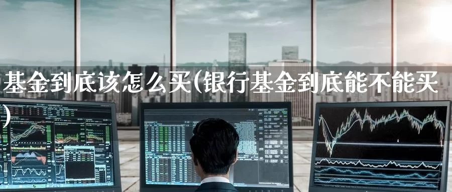 基金到底该怎么买(银行基金到底能不能买)_https://www.zzcnk.com_基金_第1张