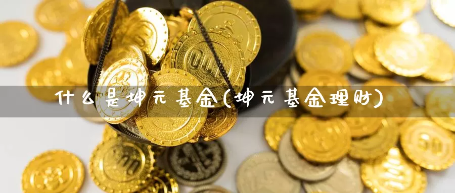 什么是坤元基金(坤元基金理财)_https://www.zzcnk.com_基金_第1张