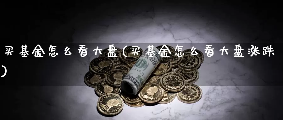 买基金怎么看大盘(买基金怎么看大盘涨跌)_https://www.zzcnk.com_财经_第1张