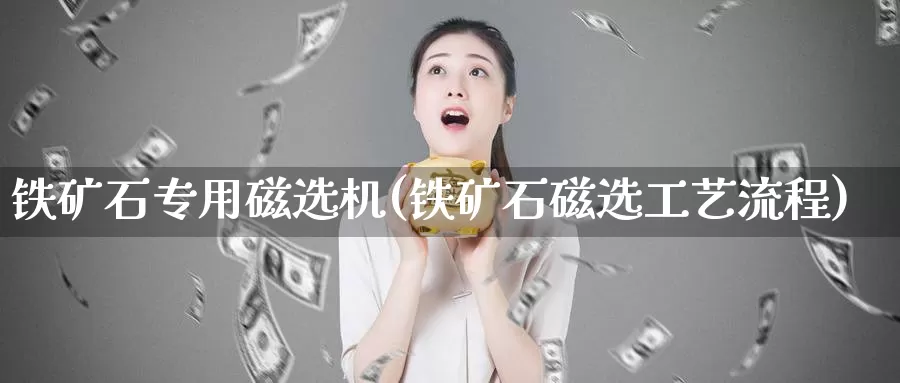 铁矿石专用磁选机(铁矿石磁选工艺流程)_https://www.zzcnk.com_期货直播_第1张