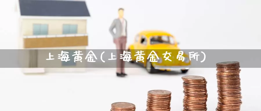 上海黄金(上海黄金交易所)_https://www.zzcnk.com_理财_第1张