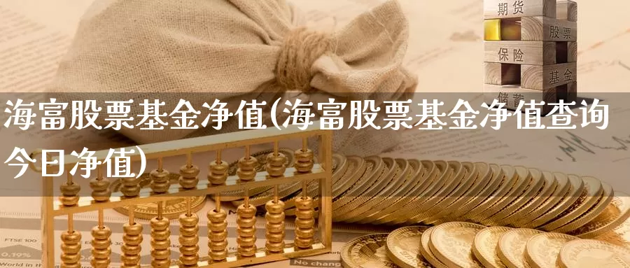 海富股票基金净值(海富股票基金净值查询今日净值)_https://www.zzcnk.com_期货_第1张