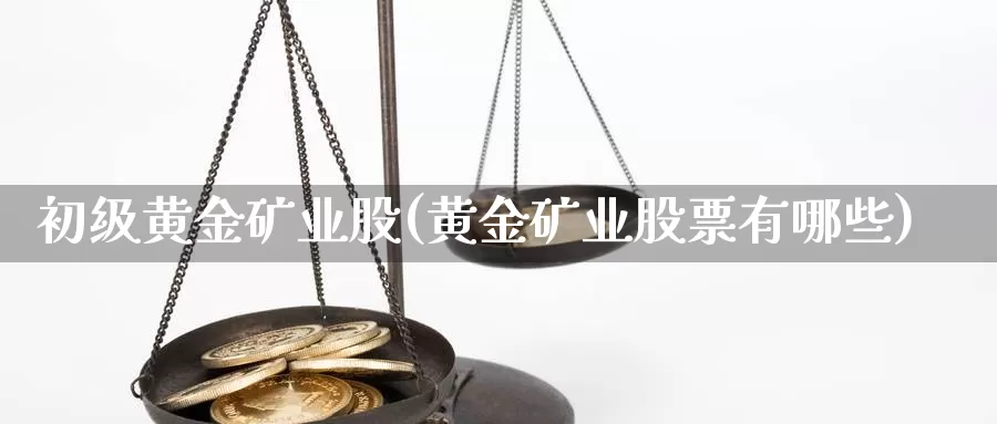 初级黄金矿业股(黄金矿业股票有哪些)_https://www.zzcnk.com_财经_第1张