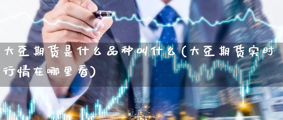 大豆期货是什么品种叫什么(大豆期货实时行情在哪里看)_https://www.zzcnk.com_期货_第1张