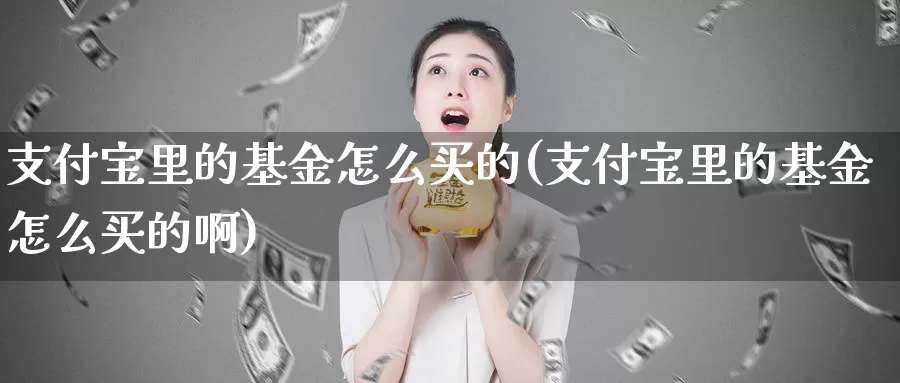 支付宝里的基金怎么买的(支付宝里的基金怎么买的啊)_https://www.zzcnk.com_基金_第1张