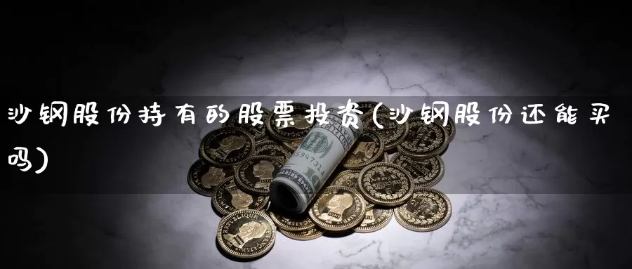沙钢股份持有的股票投资(沙钢股份还能买吗)_https://www.zzcnk.com_股票_第1张