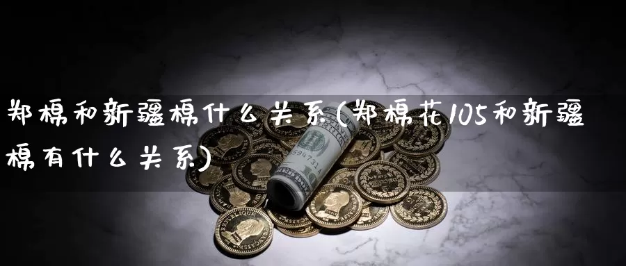 郑棉和新疆棉什么关系(郑棉花105和新疆棉有什么关系)_https://www.zzcnk.com_期货直播_第1张