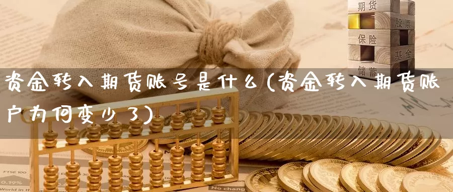 资金转入期货账号是什么(资金转入期货账户为何变少了)_https://www.zzcnk.com_期货_第1张