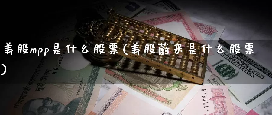 美股mpp是什么股票(美股蔚来是什么股票)_https://www.zzcnk.com_理财_第1张