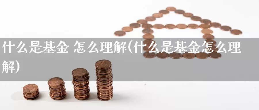 什么是基金 怎么理解(什么是基金怎么理解)_https://www.zzcnk.com_基金_第1张