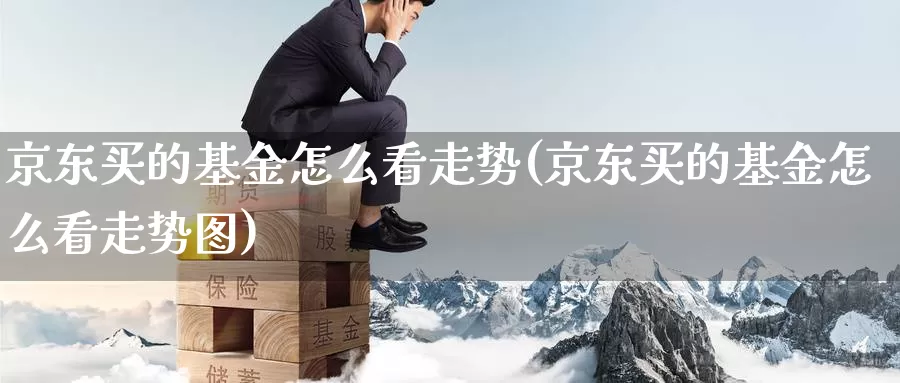 京东买的基金怎么看走势(京东买的基金怎么看走势图)_https://www.zzcnk.com_基金_第1张