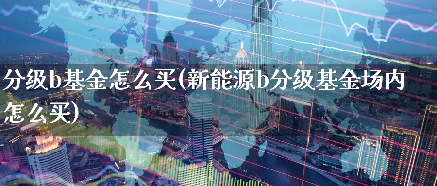 分级b基金怎么买(新能源b分级基金场内怎么买)_https://www.zzcnk.com_基金_第1张