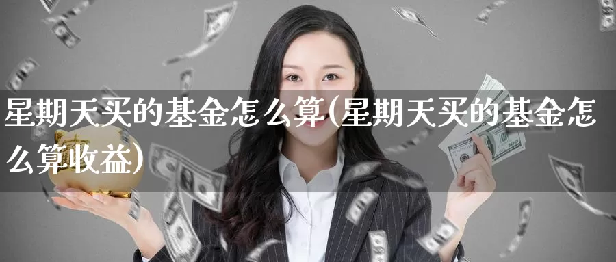 星期天买的基金怎么算(星期天买的基金怎么算收益)_https://www.zzcnk.com_基金_第1张