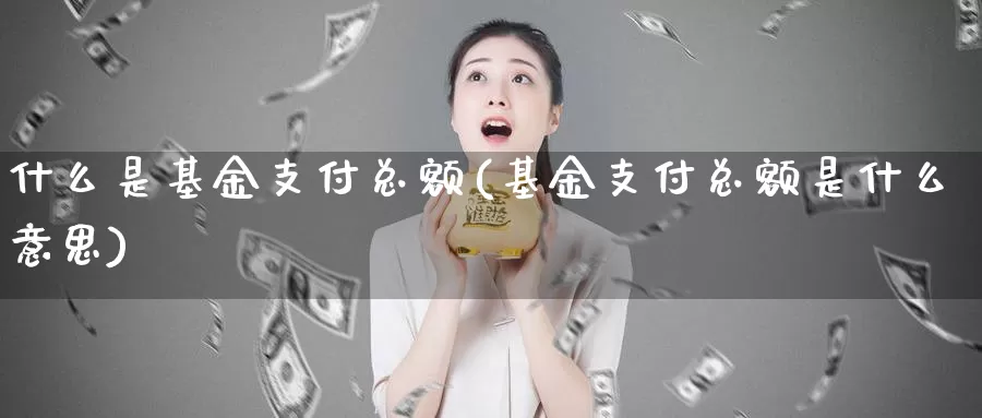 什么是基金支付总额(基金支付总额是什么意思)_https://www.zzcnk.com_期货百科_第1张