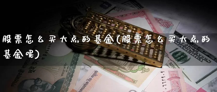 股票怎么买大点的基金(股票怎么买大点的基金呢)_https://www.zzcnk.com_基金_第1张