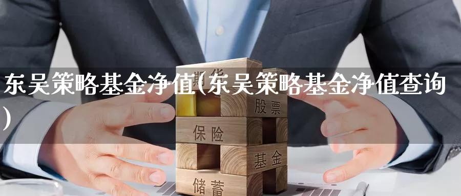 东吴策略基金净值(东吴策略基金净值查询)_https://www.zzcnk.com_基金_第1张