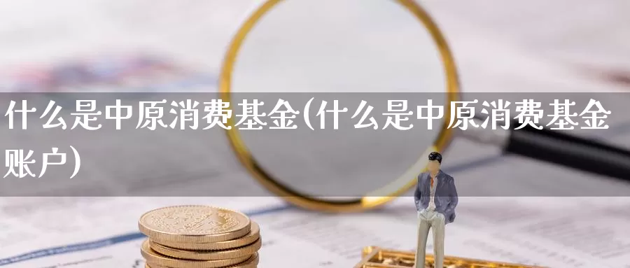 什么是中原消费基金(什么是中原消费基金账户)_https://www.zzcnk.com_基金_第1张