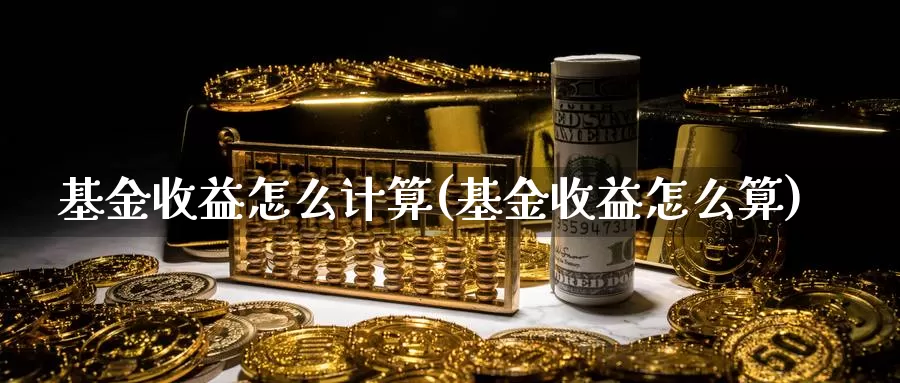 基金收益怎么计算(基金收益怎么算)_https://www.zzcnk.com_股票_第1张
