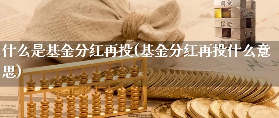 什么是基金分红再投(基金分红再投什么意思)_https://www.zzcnk.com_基金_第1张