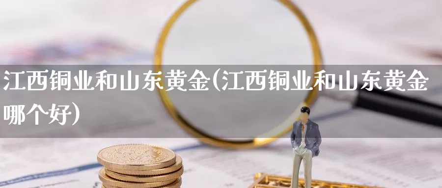 江西铜业和山东黄金(江西铜业和山东黄金哪个好)_https://www.zzcnk.com_财经_第1张
