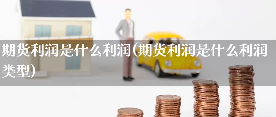 期货利润是什么利润(期货利润是什么利润类型)_https://www.zzcnk.com_期货_第1张