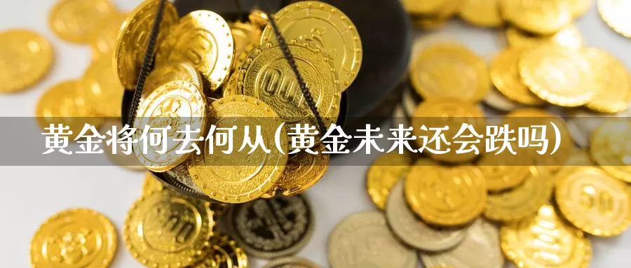 黄金将何去何从(黄金未来还会跌吗)_https://www.zzcnk.com_财经_第1张