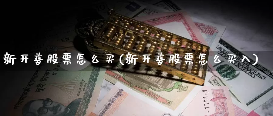新开普股票怎么买(新开普股票怎么买入)_https://www.zzcnk.com_股票_第1张