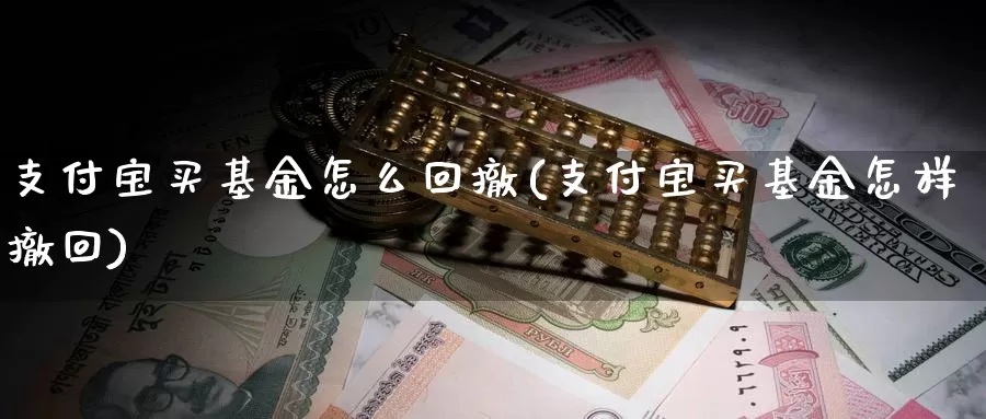 支付宝买基金怎么回撤(支付宝买基金怎样撤回)_https://www.zzcnk.com_基金_第1张
