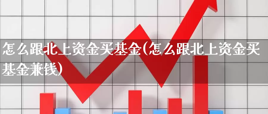 怎么跟北上资金买基金(怎么跟北上资金买基金兼钱)_https://www.zzcnk.com_基金_第1张