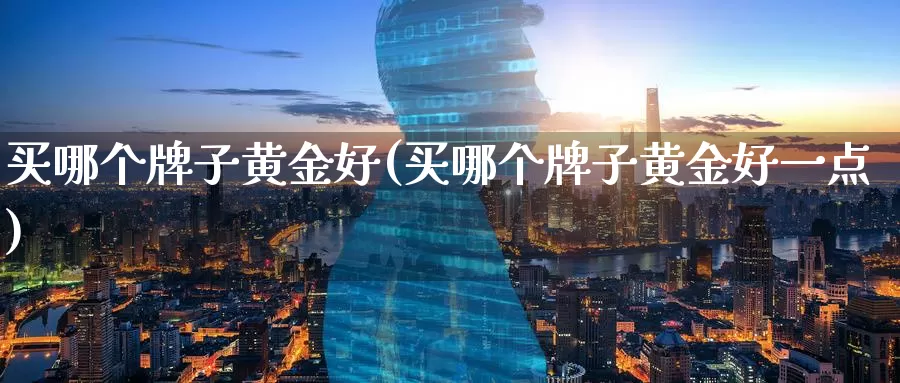 买哪个牌子黄金好(买哪个牌子黄金好一点)_https://www.zzcnk.com_股票_第1张