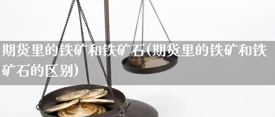 期货里的铁矿和铁矿石(期货里的铁矿和铁矿石的区别)_https://www.zzcnk.com_原油期货_第1张