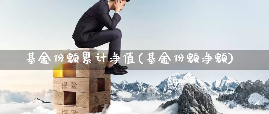 基金份额累计净值(基金份额净额)_https://www.zzcnk.com_理财_第1张