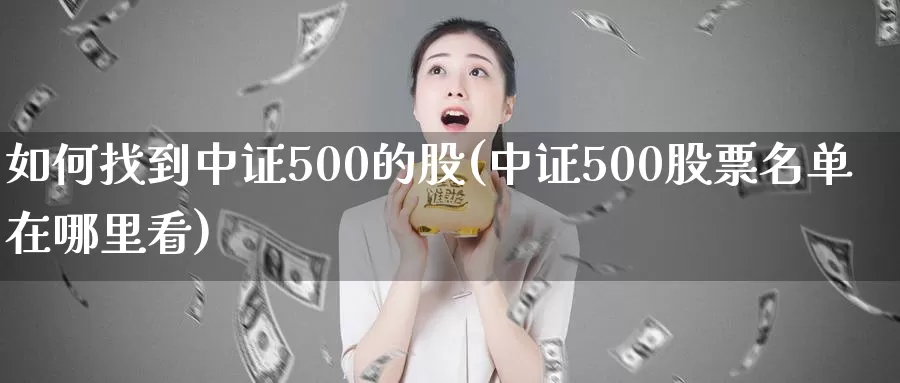 如何找到中证500的股(中证500股票名单在哪里看)_https://www.zzcnk.com_纳指期货_第1张